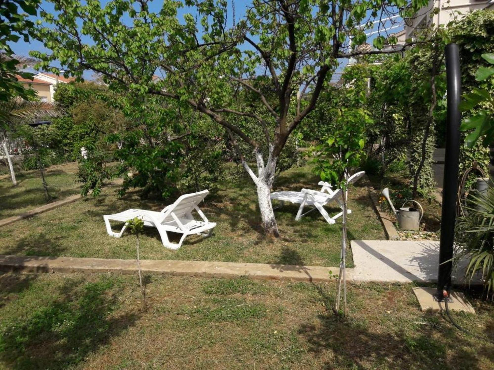 Apartments Amalia Zadar Room photo